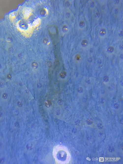 宋代钧窑瓷器微观鉴定