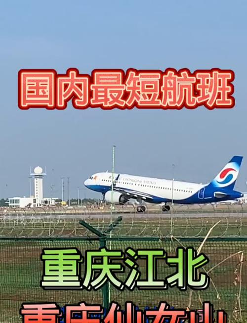 今天重庆到上海的航班