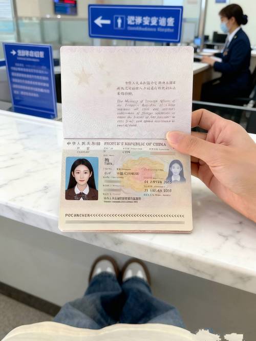 成都办理护照的地方在哪