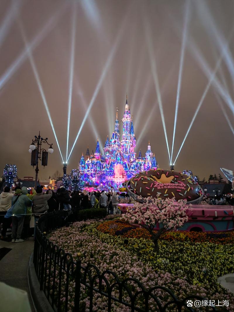 上海华特迪士尼大剧院