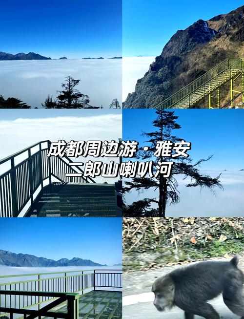 成都周边1日游哪里好玩