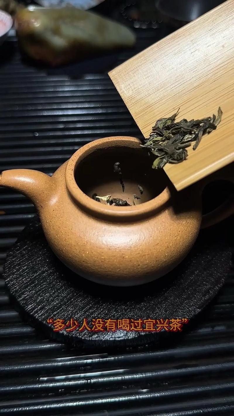 紫砂壶用什么茶养最快