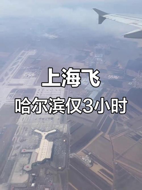 上海到哈尔滨航班查询