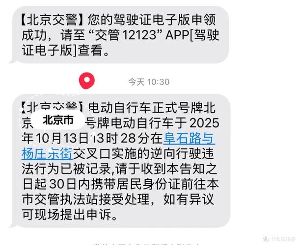 北京违章多久可以查到