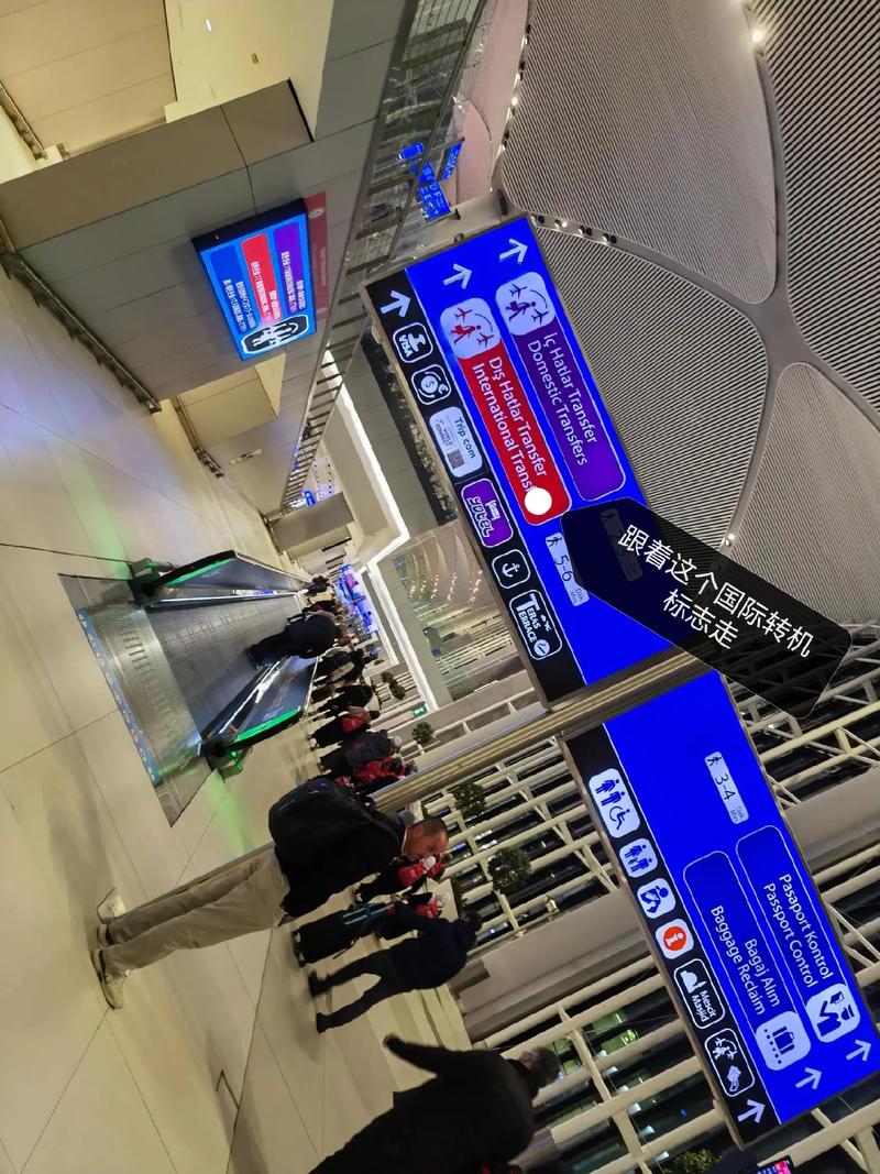 北京到阿尔及利亚航班