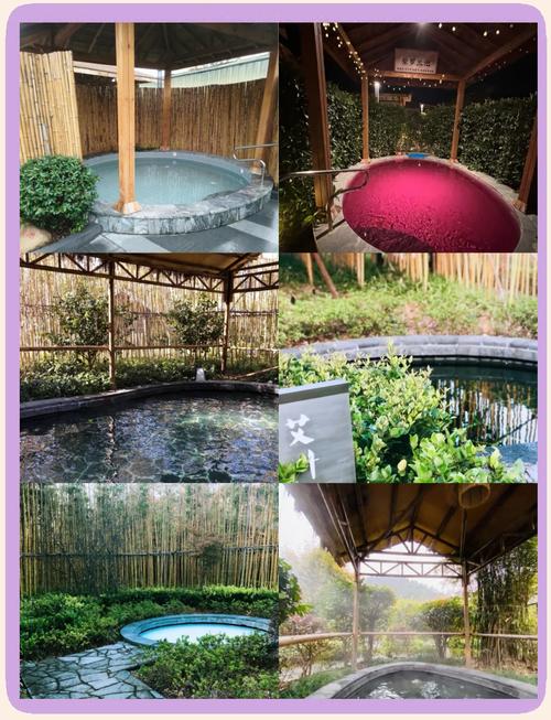 上海周边温泉酒店排名