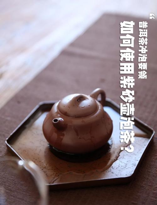 怎样用紫砂壶泡茶视频