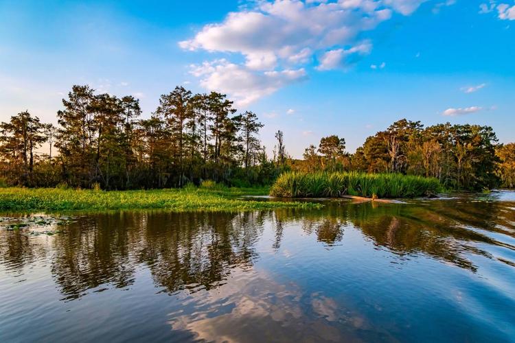 上海湿地公园哪个好玩