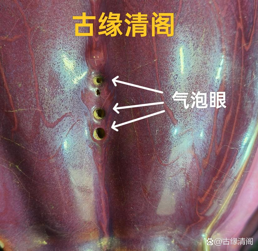 古代柴烧瓷器气泡特点