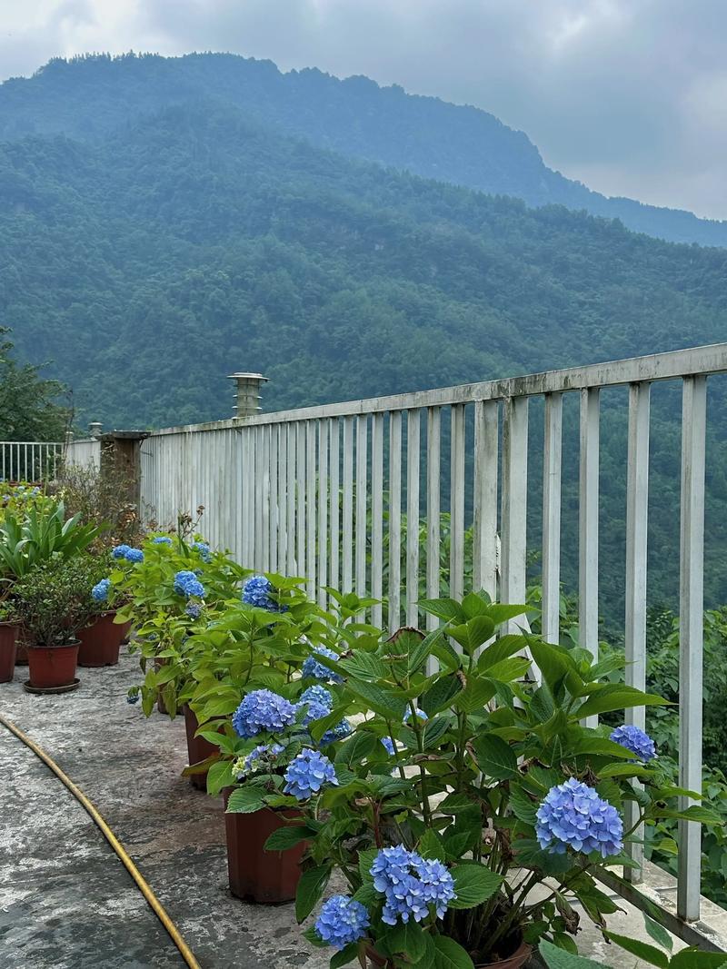 成都农家乐排名2025