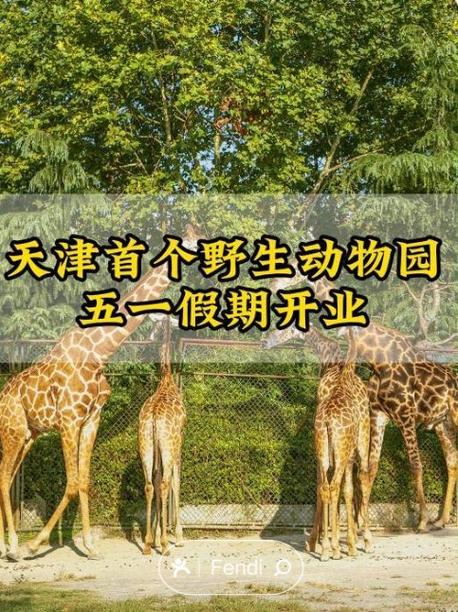 天津到北京野生动物园