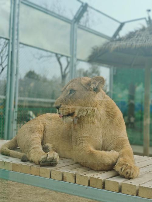 天津到北京野生动物园