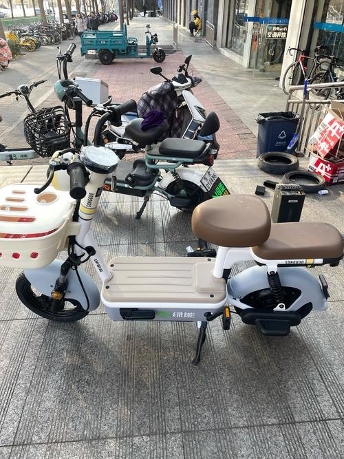 北京绿能电动车专卖店