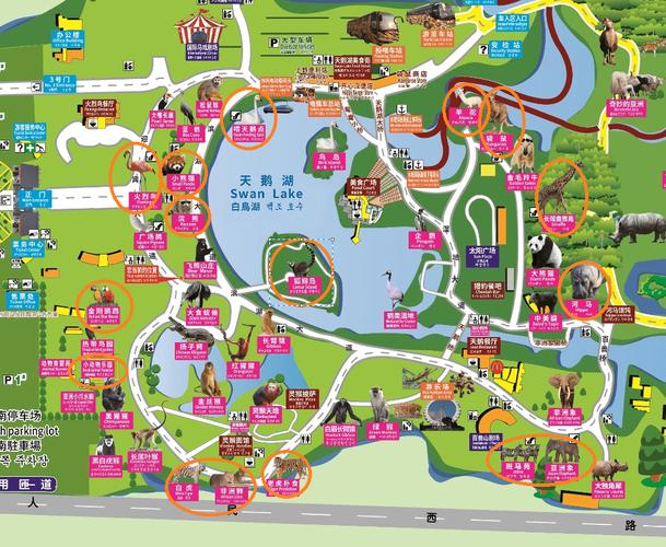 上海野生动物园导游图