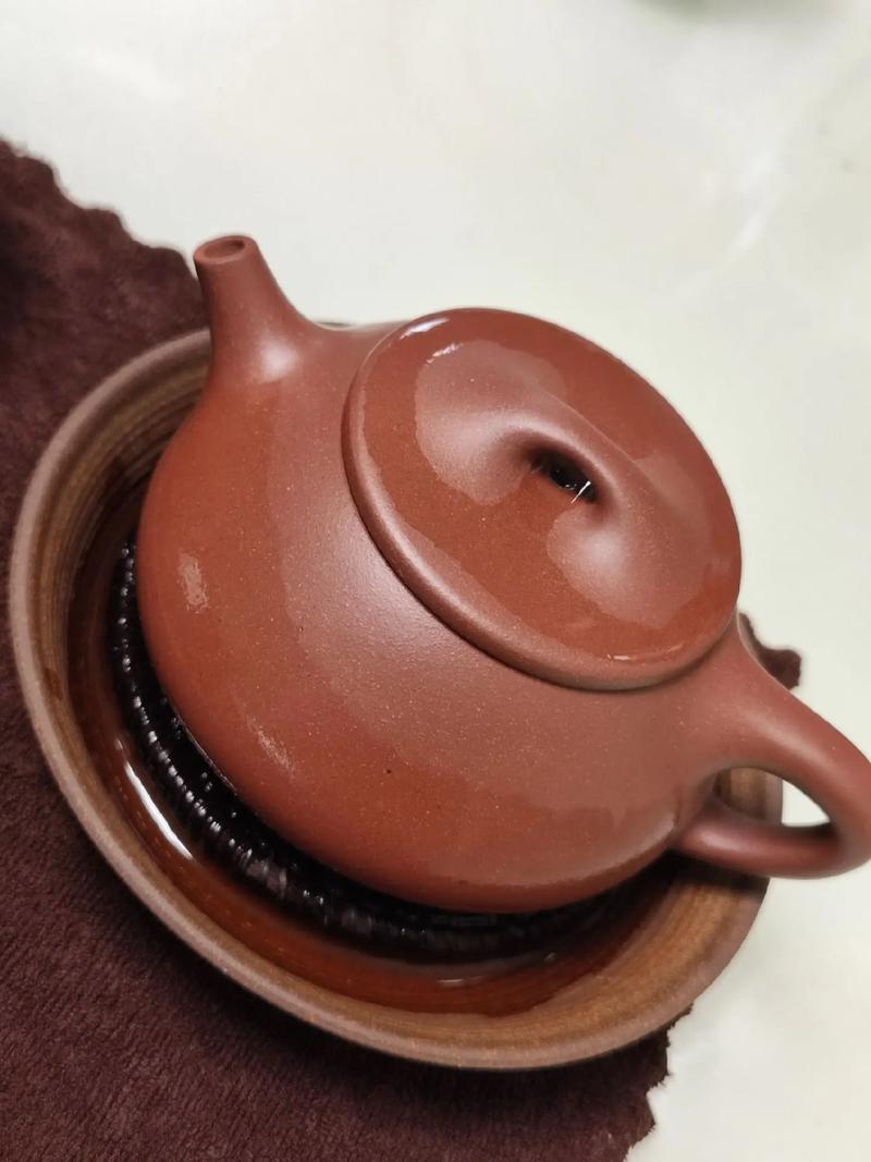 生普洱用什么紫砂壶型