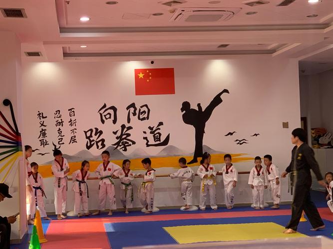 北京跆拳道培训班价格