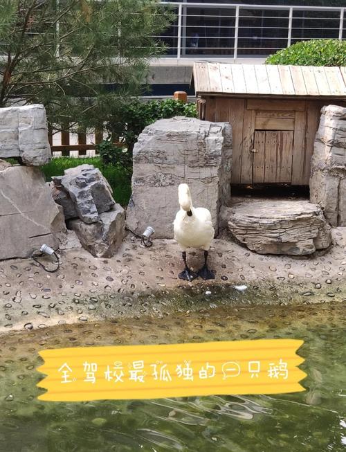 北京东方时尚驾校电话