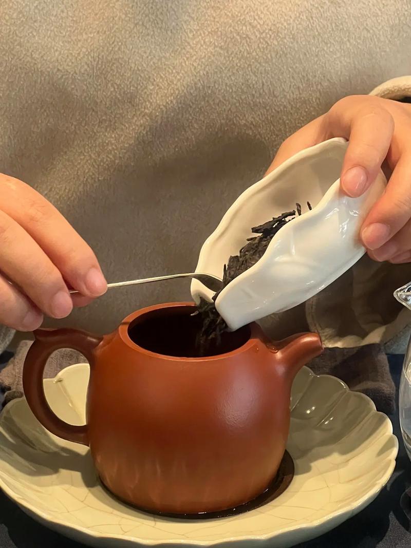普洱茶紫砂壶多久出水