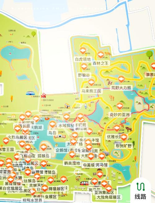 上海野生动物园到外滩