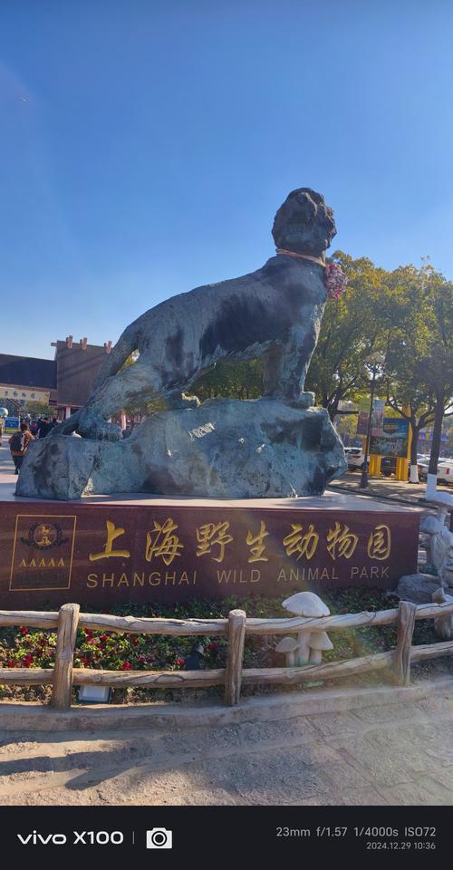 上海野生动物园到外滩