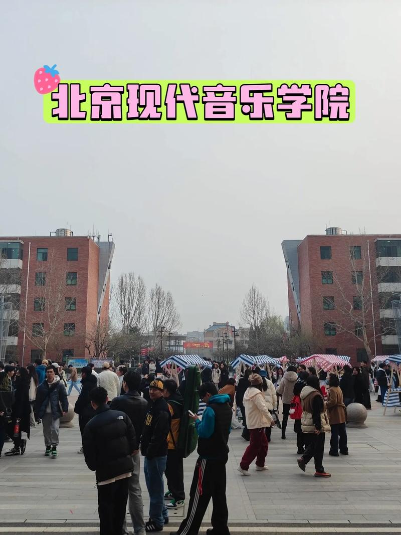 北京的音乐学院有哪些