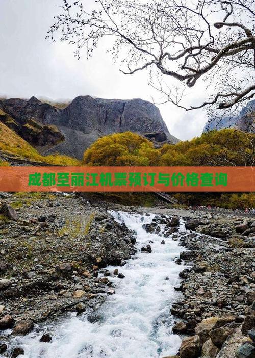 成都至丽江机票价格查询