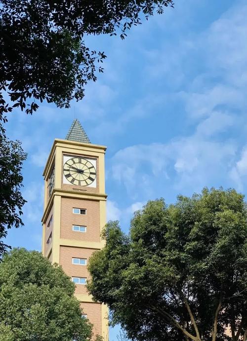 成都美视国际学校怎么样