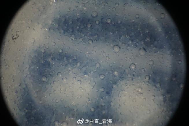 定窑瓷器气泡特征图片