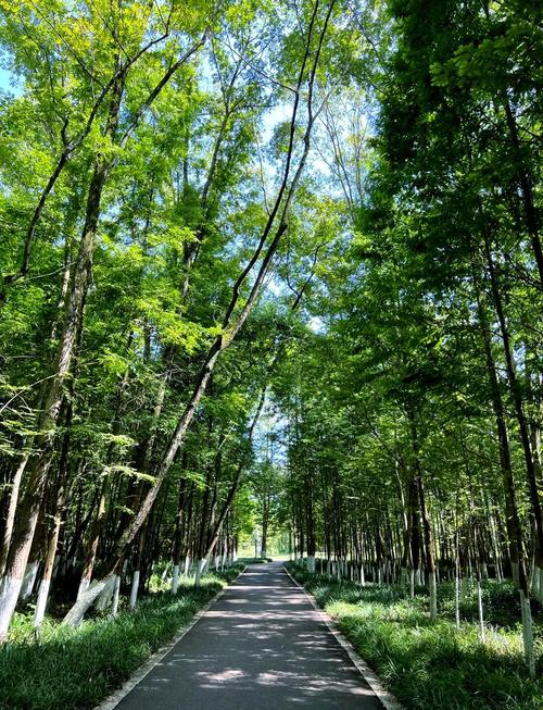 成都周边适合拍照的地方