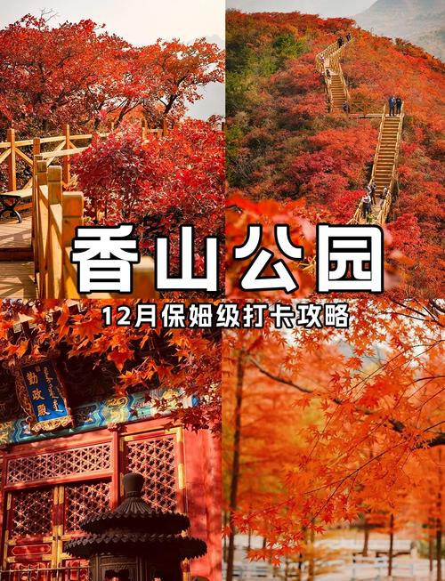 北京香山公园旅游攻略