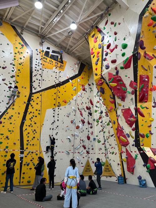 上海攀岩馆哪家比较好