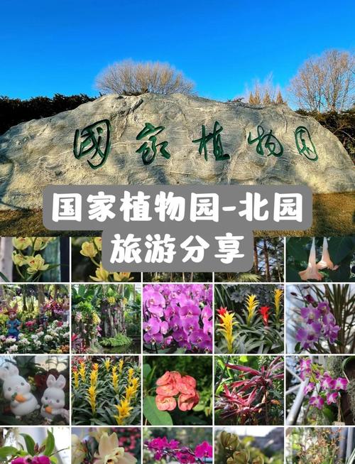 北京植物园需要预约吗