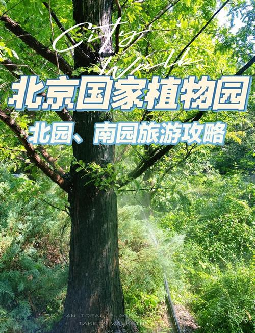 北京植物园需要预约吗
