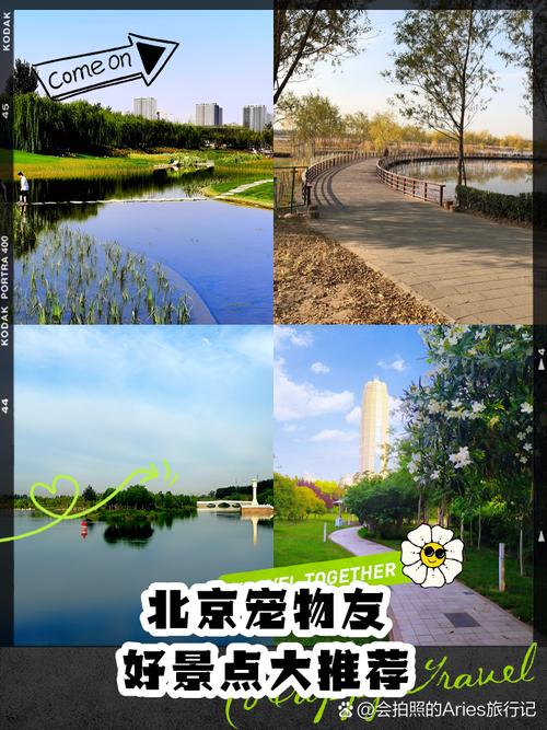 北京可以带狗狗的公园