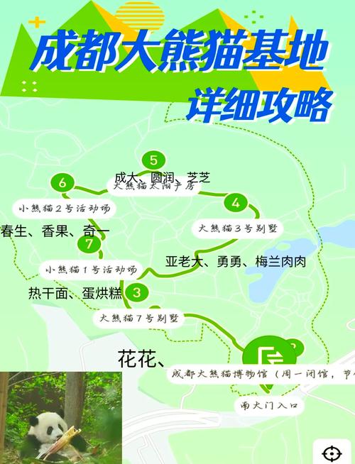 成都熊猫基地门票怎么买