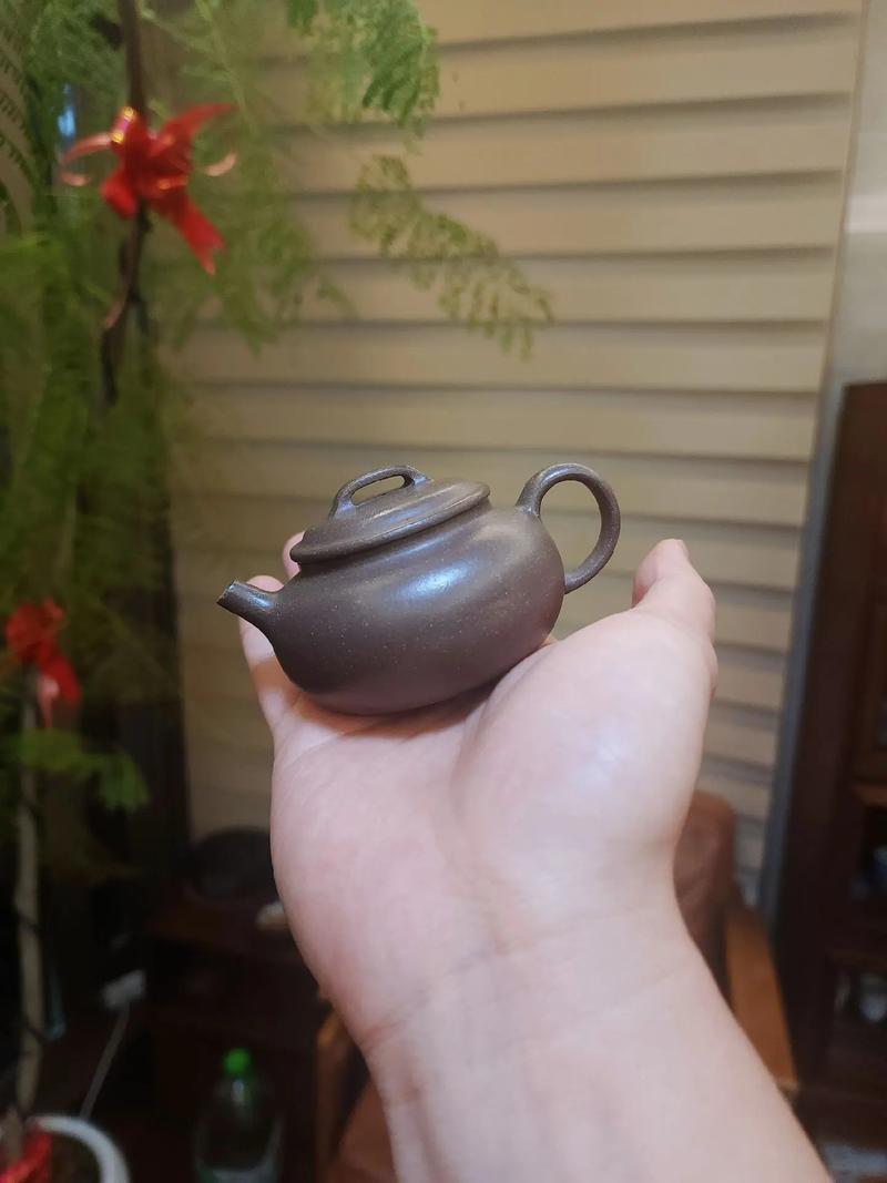 高建中和高建忠紫砂壶