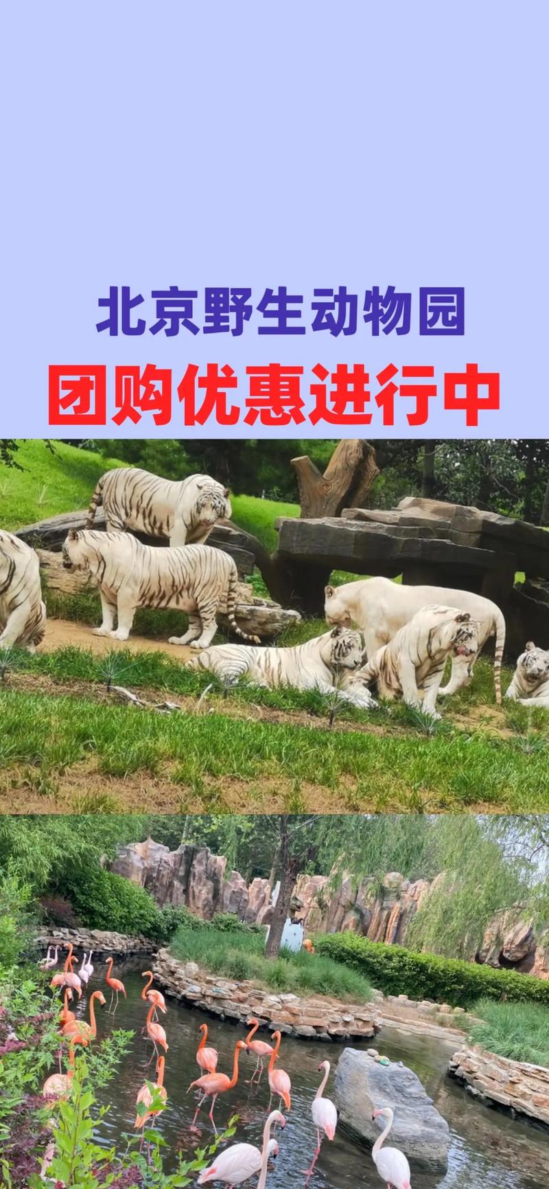 北京有几个野生动物园