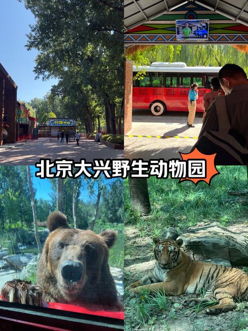 北京有几个野生动物园