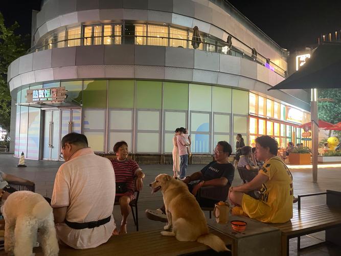 上海人和本地人的区别