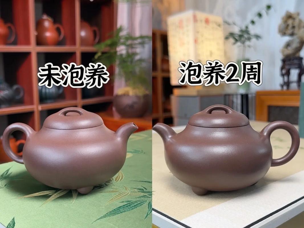 紫砂壶怎么样养壶视频