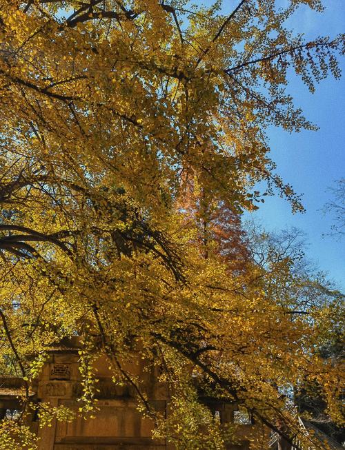 成都周边一日游景点推荐