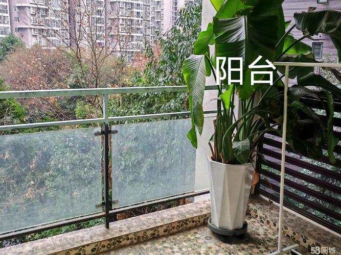 成都蓝光圣菲town城