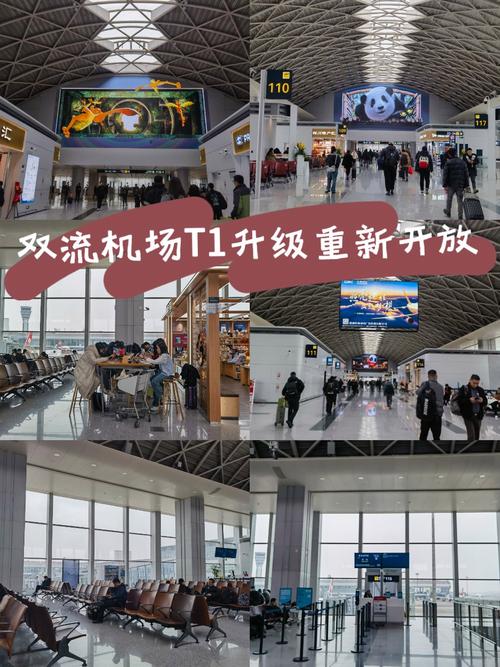 成都双流机场t1航站楼