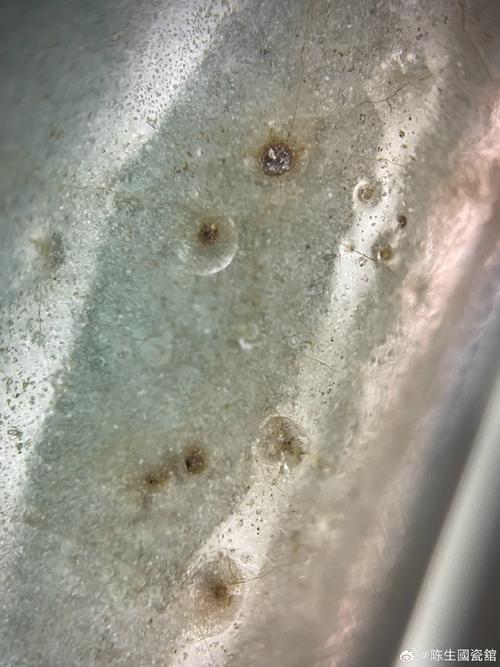 北宋瓷器死亡气泡图片