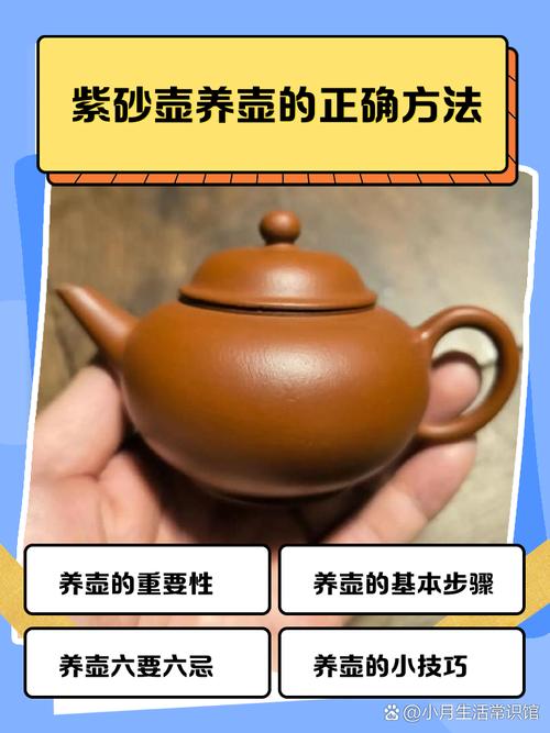 紫砂壶可以抹橄榄油吗