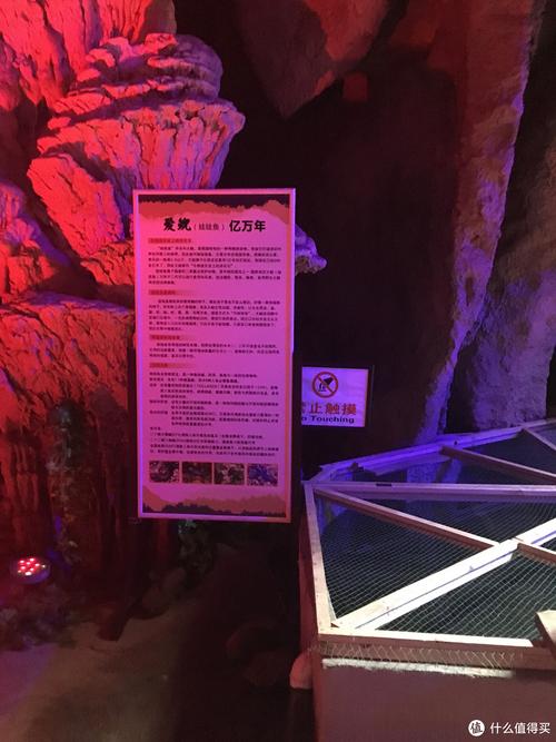 上海游龙石文化科普馆