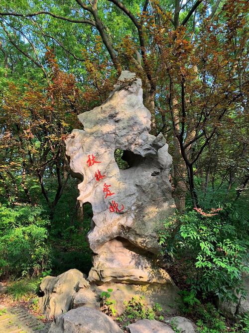 上海国家共青森林公园