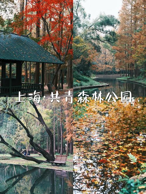 上海国家共青森林公园