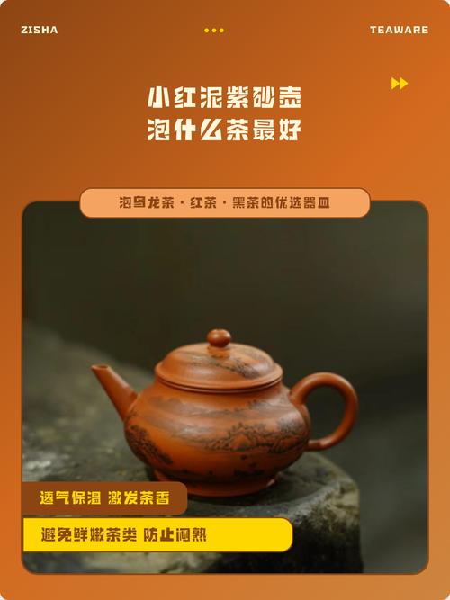 小紫砂壶适何泡什么茶