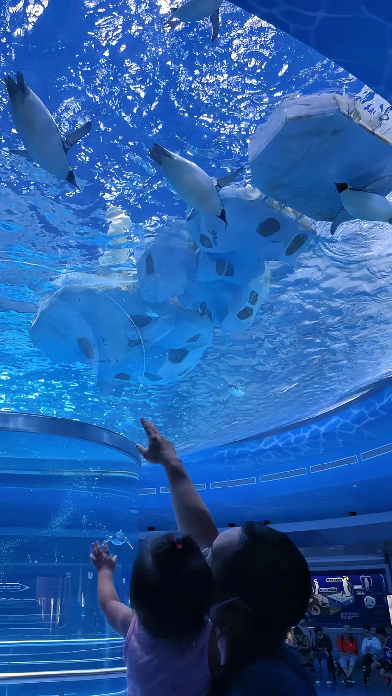 上海海昌海洋公园天气